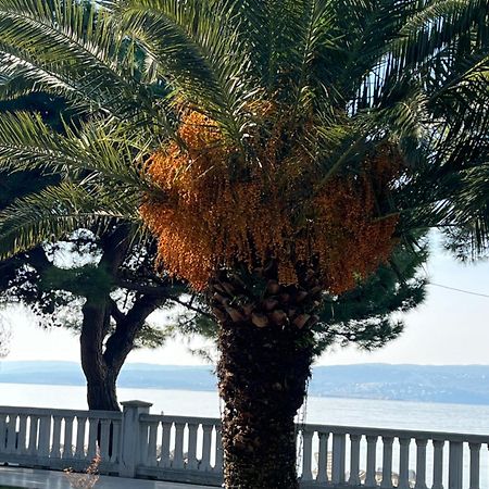 Crikvenica Right On The Beach Exterior photo